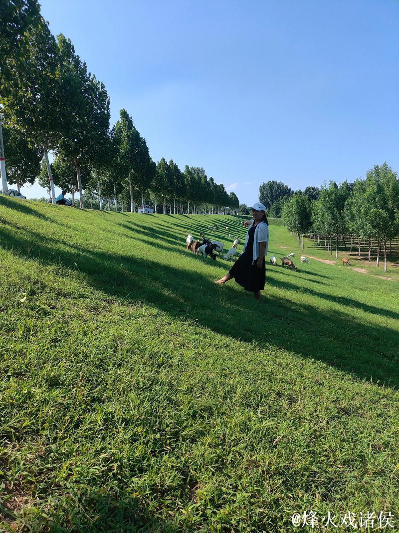 青青草在观2018免费