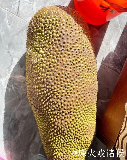 菠萝蜜视频：揭秘热议黄色内容的真相